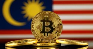 Top 5 major cryptocurrencies type in Malaysia?